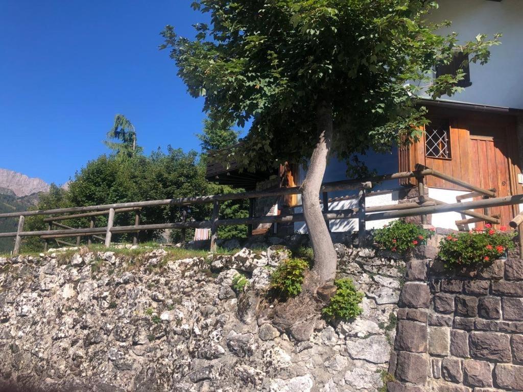 Casa Loria - Appartamento Con Giardino Сан-Мартино-ди-Кастроцца Экстерьер фото